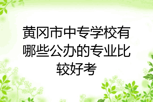 黄冈市中专学校有哪些公办的专业比较好考