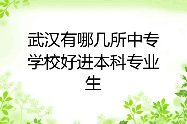 武汉有哪几所中专学校好进本科专业生