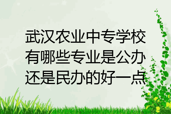武汉农业中专学校有哪些专业是公办还是民办的好一点