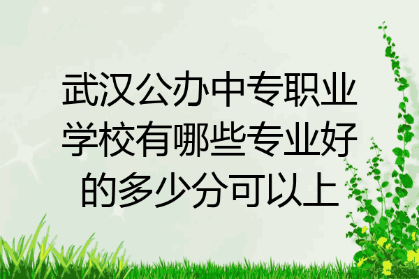 武汉公办中专职业学校有哪些专业好的多少分可以上