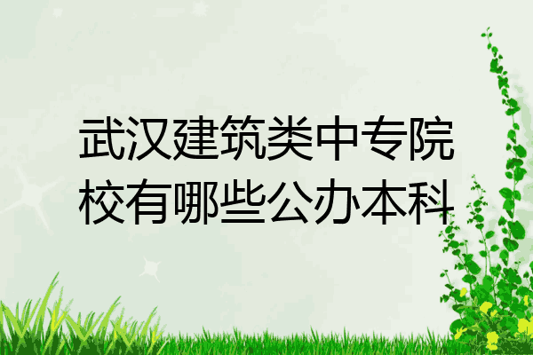 武汉建筑类中专院校有哪些公办本科