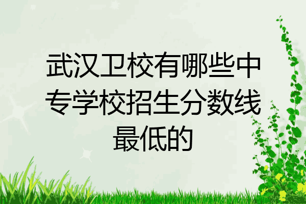 武汉卫校有哪些中专学校招生分数线最低的