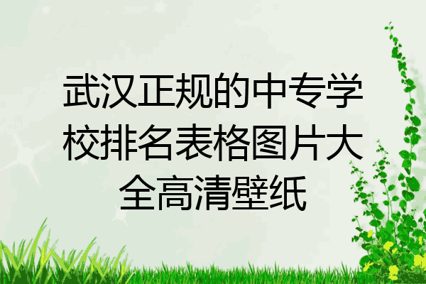 武汉正规的中专学校排名表格图片大全高清壁纸