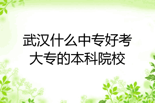武汉什么中专好考大专的本科院校