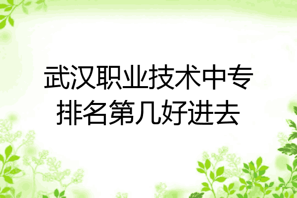 武汉职业技术中专排名第几好进去