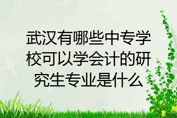 武汉有哪些中专学校可以学会计的研究生专业是什么