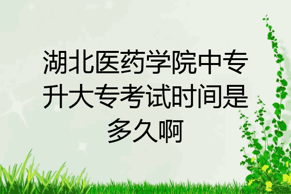 湖北医药学院中专升大专考试时间是多久啊