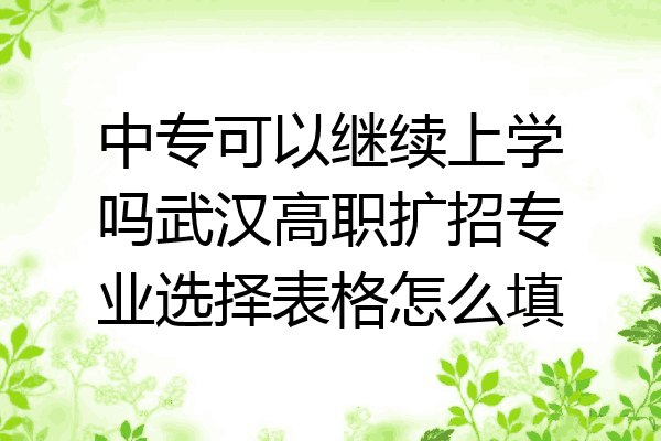 中专可以继续上学吗武汉高职扩招专业选择表格怎么填