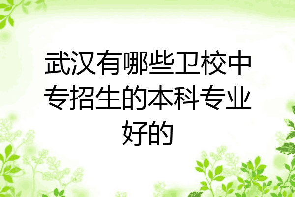 武汉有哪些卫校中专招生的本科专业好的