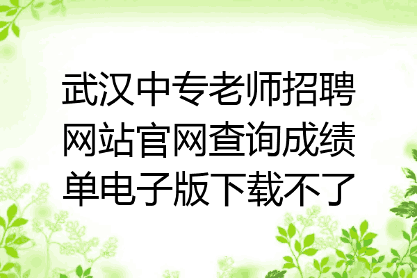 武汉中专老师招聘网站官网查询成绩单电子版下载不了