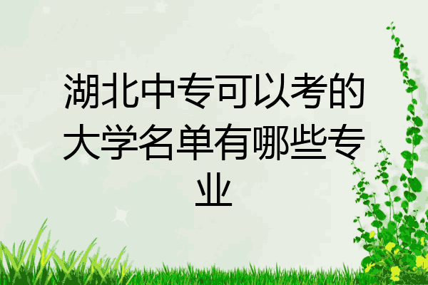 湖北中专可以考的大学名单有哪些专业