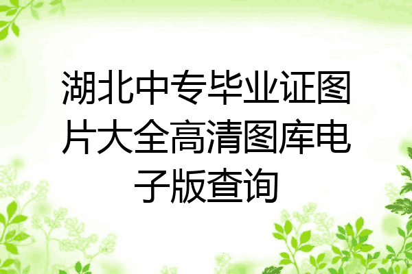 湖北中专毕业证图片大全高清图库电子版查询