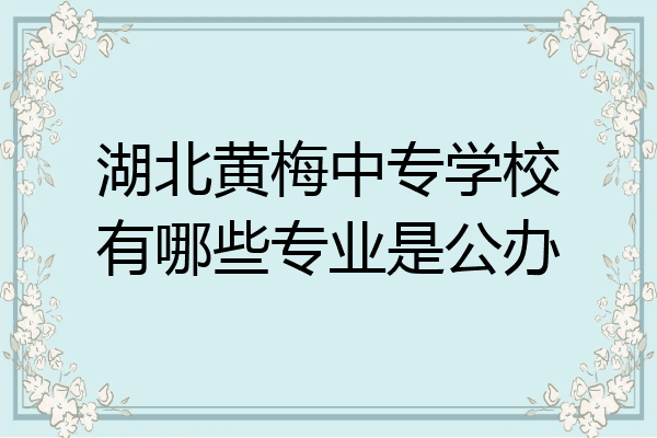 湖北黄梅中专学校有哪些专业是公办