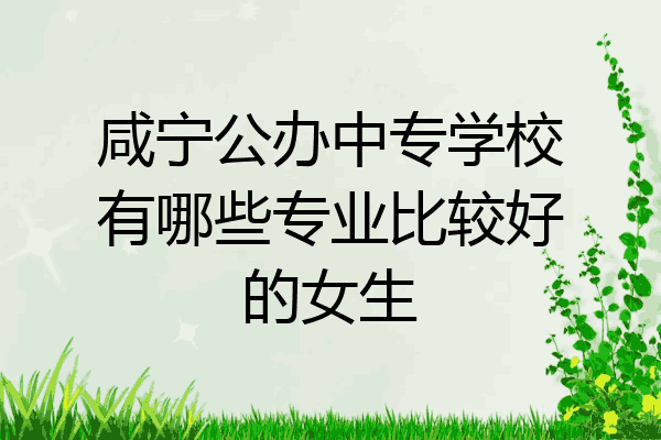 咸宁公办中专学校有哪些专业比较好的女生