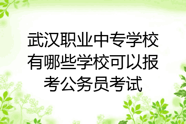 武汉职业中专学校有哪些学校可以报考公务员考试