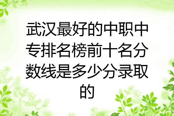 武汉最好的中职中专排名榜前十名分数线是多少分录取的