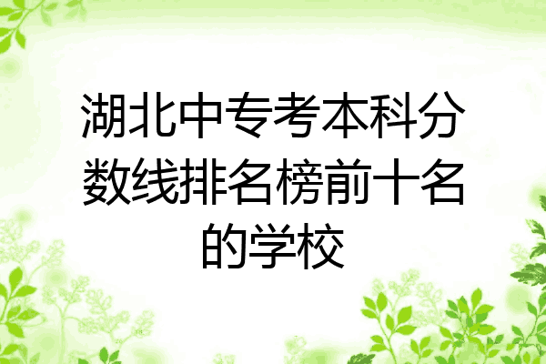 湖北中专考本科分数线排名榜前十名的学校