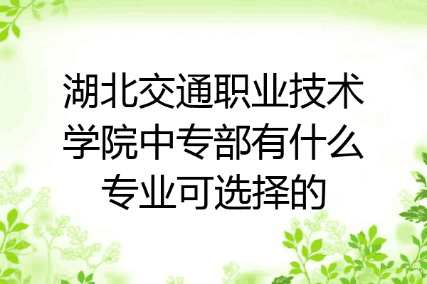 湖北交通职业技术学院中专部有什么专业可选择的