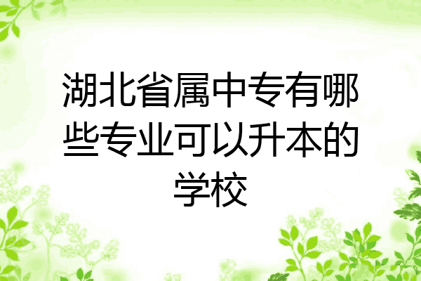 湖北省属中专有哪些专业可以升本的学校