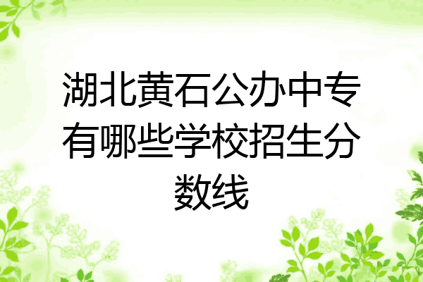 湖北黄石公办中专有哪些学校招生分数线