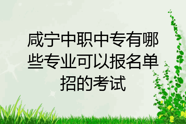 咸宁中职中专有哪些专业可以报名单招的考试