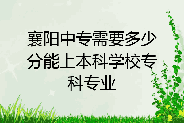 襄阳中专需要多少分能上本科学校专科专业
