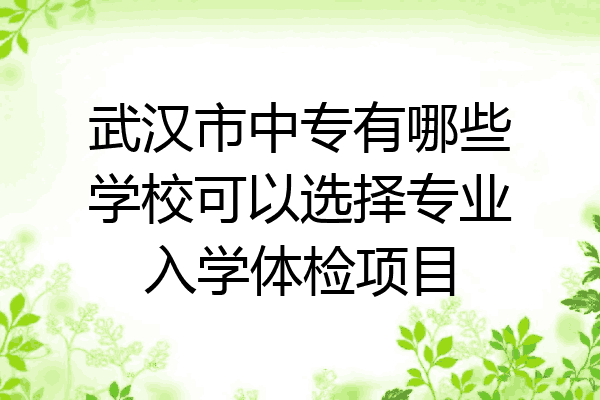武汉市中专有哪些学校可以选择专业入学体检项目