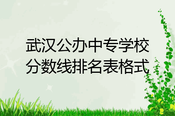 武汉公办中专学校分数线排名表格式