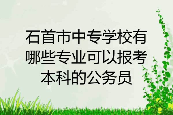 石首市中专学校有哪些专业可以报考本科的公务员