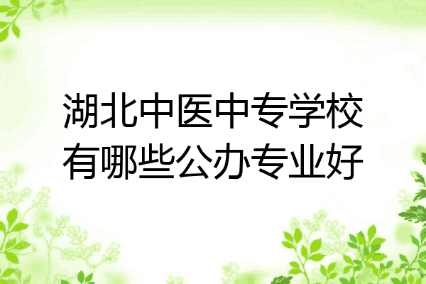 湖北中医中专学校有哪些公办专业好