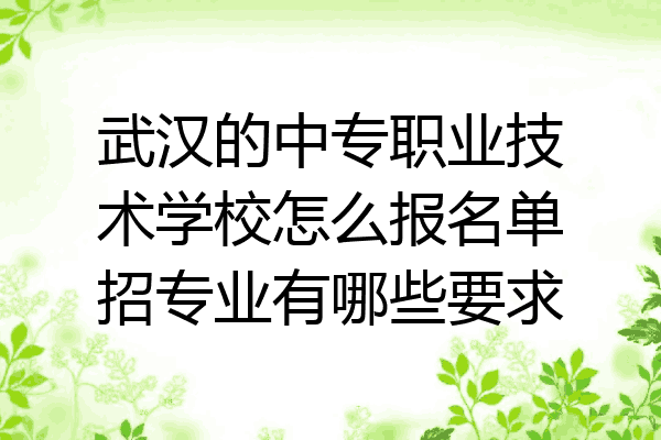 武汉的中专职业技术学校怎么报名单招专业有哪些要求