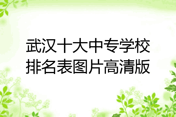 武汉十大中专学校排名表图片高清版