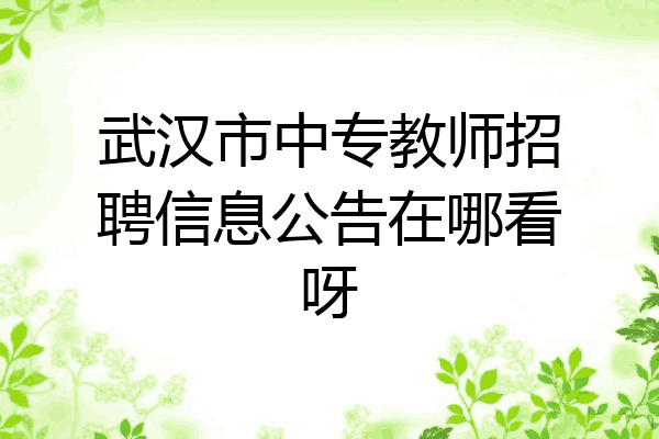武汉市中专教师招聘信息公告在哪看呀