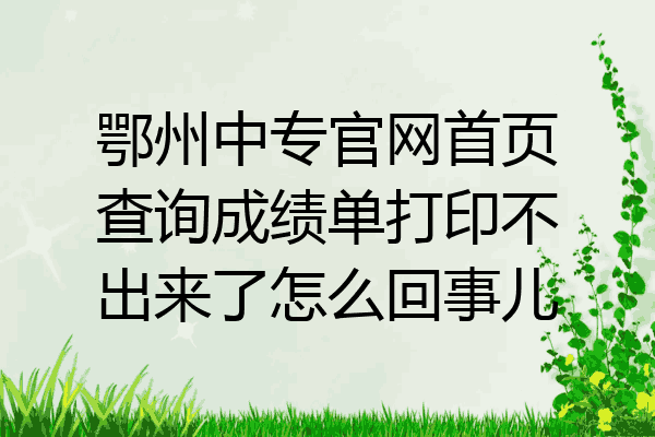 鄂州中专官网首页查询成绩单打印不出来了怎么回事儿