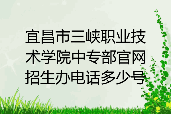 宜昌市三峡职业技术学院中专部官网招生办电话多少号