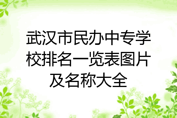 武汉市民办中专学校排名一览表图片及名称大全