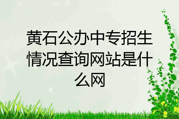 黄石公办中专招生情况查询网站是什么网