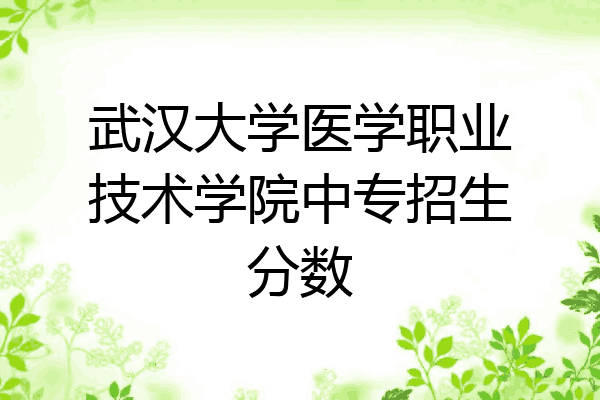 武汉大学医学职业技术学院中专招生分数