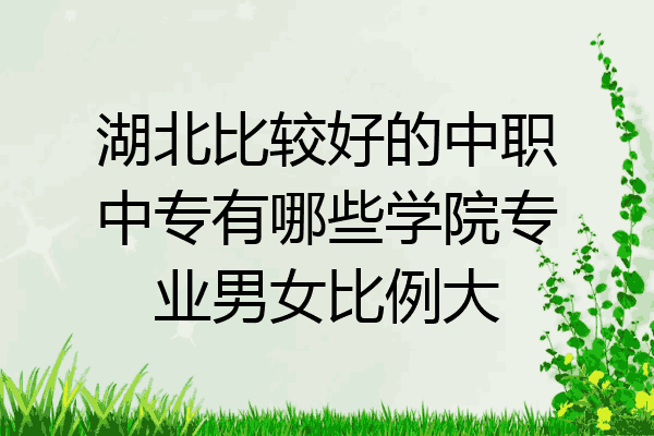 湖北比较好的中职中专有哪些学院专业男女比例大