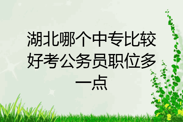 湖北哪个中专比较好考公务员职位多一点