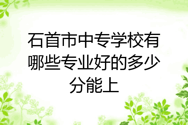 石首市中专学校有哪些专业好的多少分能上