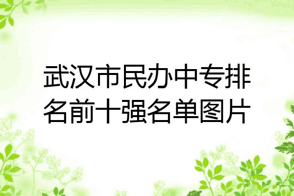 武汉市民办中专排名前十强名单图片
