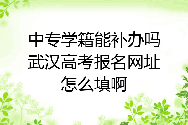 中专学籍能补办吗武汉高考报名网址怎么填啊