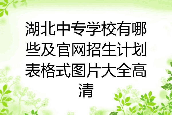 湖北中专学校有哪些及官网招生计划表格式图片大全高清