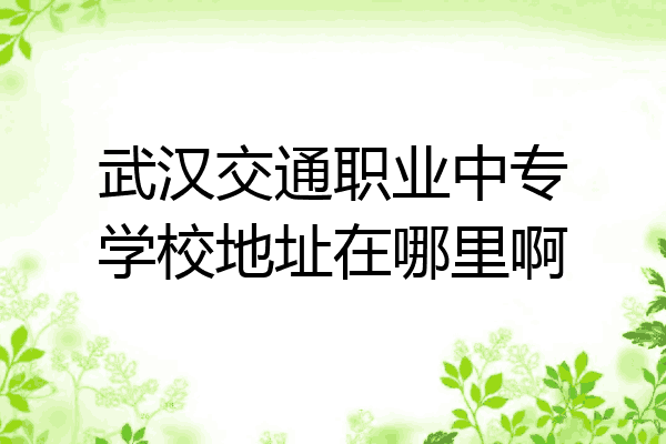 武汉交通职业中专学校地址在哪里啊