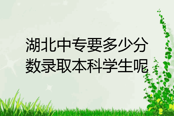 湖北中专要多少分数录取本科学生呢