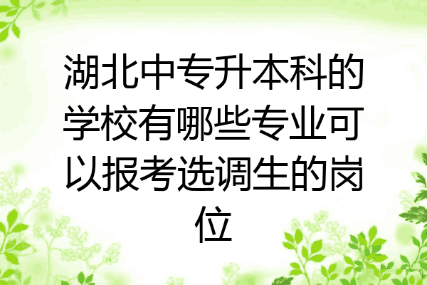 湖北中专升本科的学校有哪些专业可以报考选调生的岗位