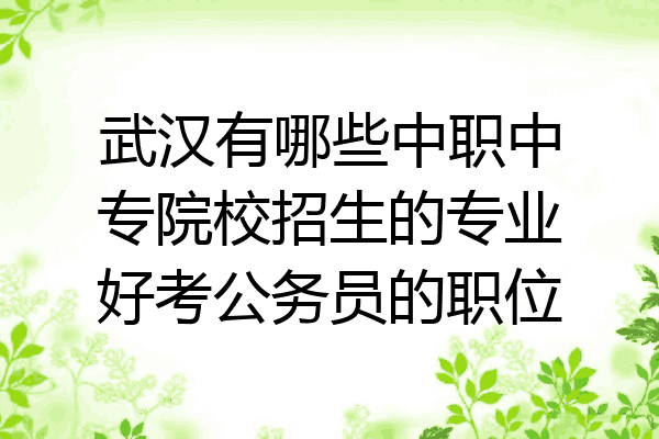 武汉有哪些中职中专院校招生的专业好考公务员的职位