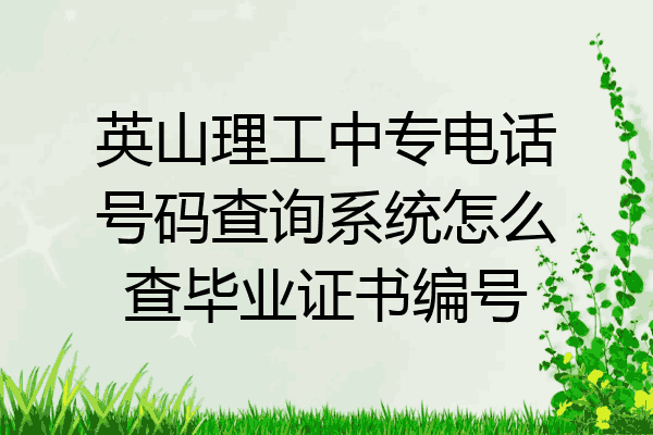 英山理工中专电话号码查询系统怎么查毕业证书编号