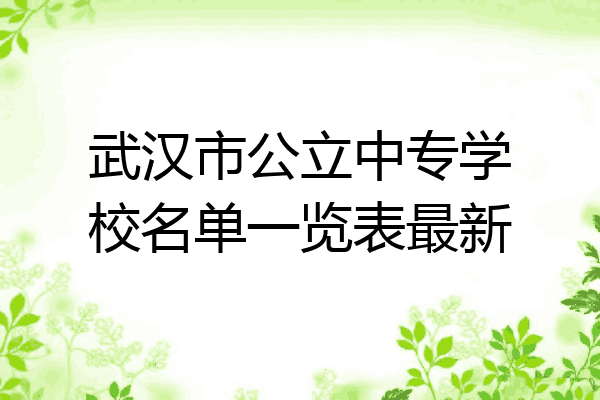 武汉市公立中专学校名单一览表最新